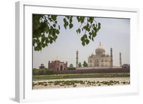 The Taj Mahal, Agra, Uttar Pradesh, India-Roberto Moiola-Framed Photographic Print