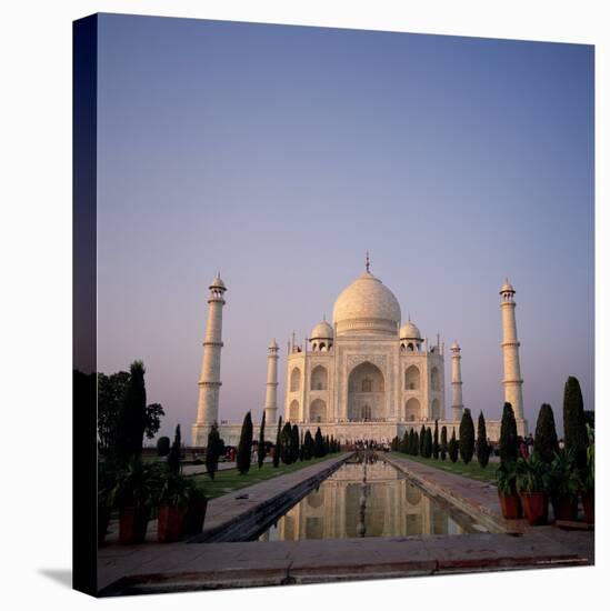 The Taj Mahal at Dawn, Agra, Uttar Pradesh, India-Tony Gervis-Stretched Canvas
