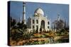 The Taj Mahal in Agra (India) Marble Mausoleum Built in 1632 - 1644-null-Stretched Canvas