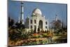 The Taj Mahal in Agra (India) Marble Mausoleum Built in 1632 - 1644-null-Mounted Photo