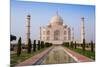 The Taj Mahal, UNESCO World Heritage Site, Agra, Uttar Pradesh, India, Asia-Gavin Hellier-Mounted Photographic Print