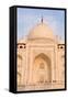 The Taj Mahal, UNESCO World Heritage Site, Agra, Uttar Pradesh, India, Asia-Gavin Hellier-Framed Stretched Canvas