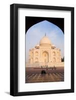 The Taj Mahal, UNESCO World Heritage Site, Agra, Uttar Pradesh, India, Asia-Gavin Hellier-Framed Photographic Print