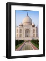 The Taj Mahal, UNESCO World Heritage Site, Agra, Uttar Pradesh, India, Asia-Gavin Hellier-Framed Photographic Print