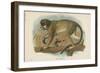 The Talapoin-null-Framed Giclee Print