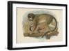 The Talapoin-null-Framed Giclee Print