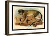 The Talapoin-G.r. Waterhouse-Framed Art Print