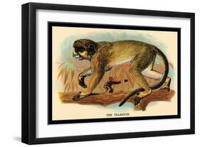 The Talapoin-G.r. Waterhouse-Framed Art Print