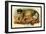 The Talapoin-G.r. Waterhouse-Framed Art Print