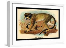 The Talapoin-G.r. Waterhouse-Framed Art Print