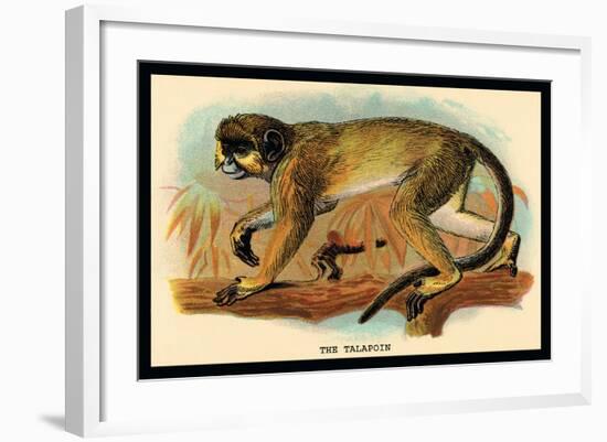 The Talapoin-G.r. Waterhouse-Framed Art Print