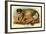 The Talapoin-G.r. Waterhouse-Framed Art Print