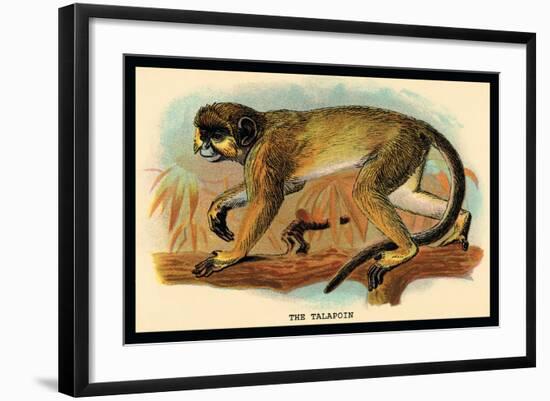 The Talapoin-G.r. Waterhouse-Framed Art Print