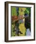 The Talisman, or the Swallow-Hole in the Bois D'Amour, Pont-Aven, 1888 (Panel)-Paul Serusier-Framed Giclee Print