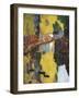 The Talisman, or the Swallow-Hole in the Bois D'Amour, Pont-Aven (Le Talisman)-Paul Serusier-Framed Art Print