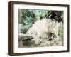 The Tamadare Falls, Yumoto, Hakone, Japan-null-Framed Giclee Print