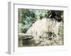 The Tamadare Falls, Yumoto, Hakone, Japan-null-Framed Giclee Print