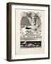 The Tame Seagull, from A Hundred Anecdotes of Animals, Pub. 1924 (Engraving)-Percy James Billinghurst-Framed Giclee Print