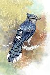 Kingfisher-The Tangled Peacock-Giclee Print
