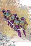 Purple Parrots-The Tangled Peacock-Giclee Print