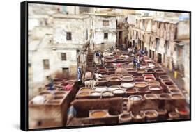 The Tannery in Fez, Morocco-Peter Adams-Framed Stretched Canvas