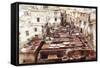 The Tannery in Fez, Morocco-Peter Adams-Framed Stretched Canvas