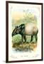 The Tapir-null-Framed Premium Giclee Print