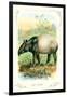 The Tapir-null-Framed Premium Giclee Print