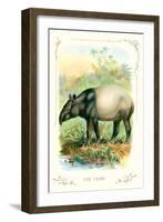 The Tapir-null-Framed Art Print