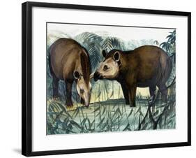 The Tapir-Arthur Oxenham-Framed Giclee Print