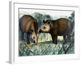 The Tapir-Arthur Oxenham-Framed Giclee Print