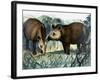 The Tapir-Arthur Oxenham-Framed Giclee Print