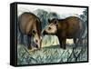 The Tapir-Arthur Oxenham-Framed Stretched Canvas