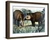 The Tapir-Arthur Oxenham-Framed Giclee Print