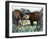 The Tapir-Arthur Oxenham-Framed Giclee Print