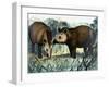 The Tapir-Arthur Oxenham-Framed Giclee Print