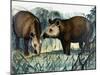 The Tapir-Arthur Oxenham-Mounted Giclee Print