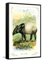 The Tapir-null-Framed Stretched Canvas