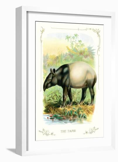 The Tapir-null-Framed Art Print