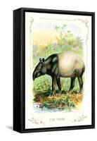 The Tapir-null-Framed Stretched Canvas