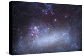 The Tarantula Nebula in the Large Magellanic Cloud-null-Stretched Canvas