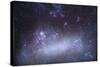 The Tarantula Nebula in the Large Magellanic Cloud-null-Stretched Canvas