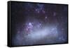 The Tarantula Nebula in the Large Magellanic Cloud-null-Framed Stretched Canvas