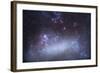 The Tarantula Nebula in the Large Magellanic Cloud-null-Framed Photographic Print