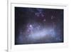 The Tarantula Nebula in the Large Magellanic Cloud-null-Framed Photographic Print