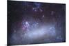 The Tarantula Nebula in the Large Magellanic Cloud-null-Mounted Photographic Print