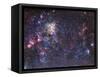 The Tarantula Nebula-Stocktrek Images-Framed Stretched Canvas