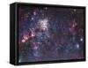 The Tarantula Nebula-Stocktrek Images-Framed Stretched Canvas