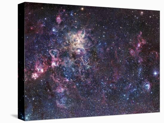 The Tarantula Nebula-Stocktrek Images-Stretched Canvas