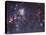 The Tarantula Nebula-Stocktrek Images-Stretched Canvas